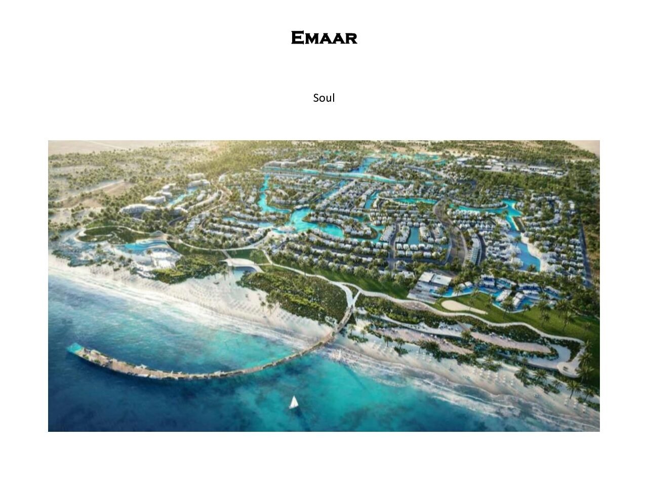 ماستر بلان SOUL